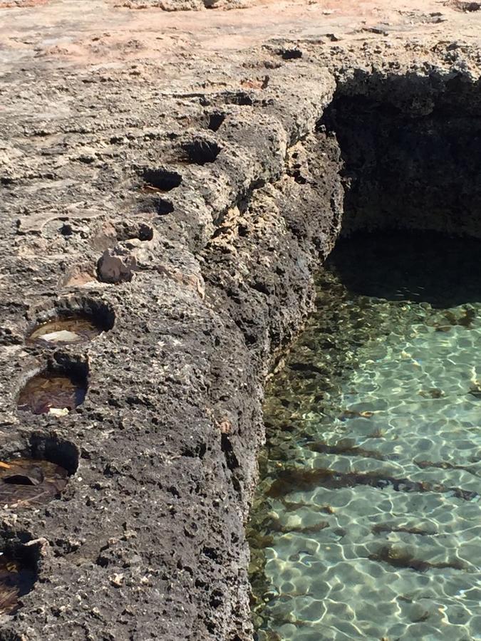 La Dimora Salento Panzió Carovigno Kültér fotó